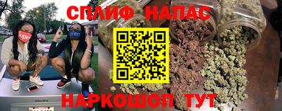 мдпв Кизляр