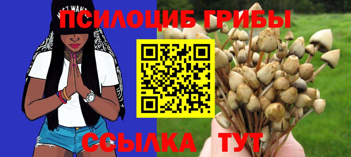 Псилоцибиновые грибы мицелий Асино