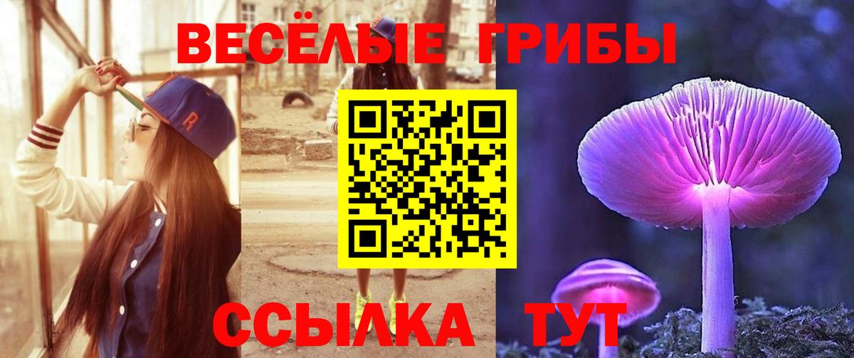 Галлюциногенные грибы мухоморы  Галлюциногенные грибы GOLDEN TEACHER  Асино  Вход с VPN 